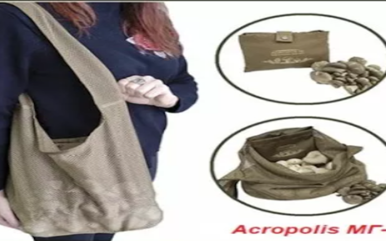 Prepare sledges in summer and carts in winter! New foraging bags for mushroom pickers. Season 2022