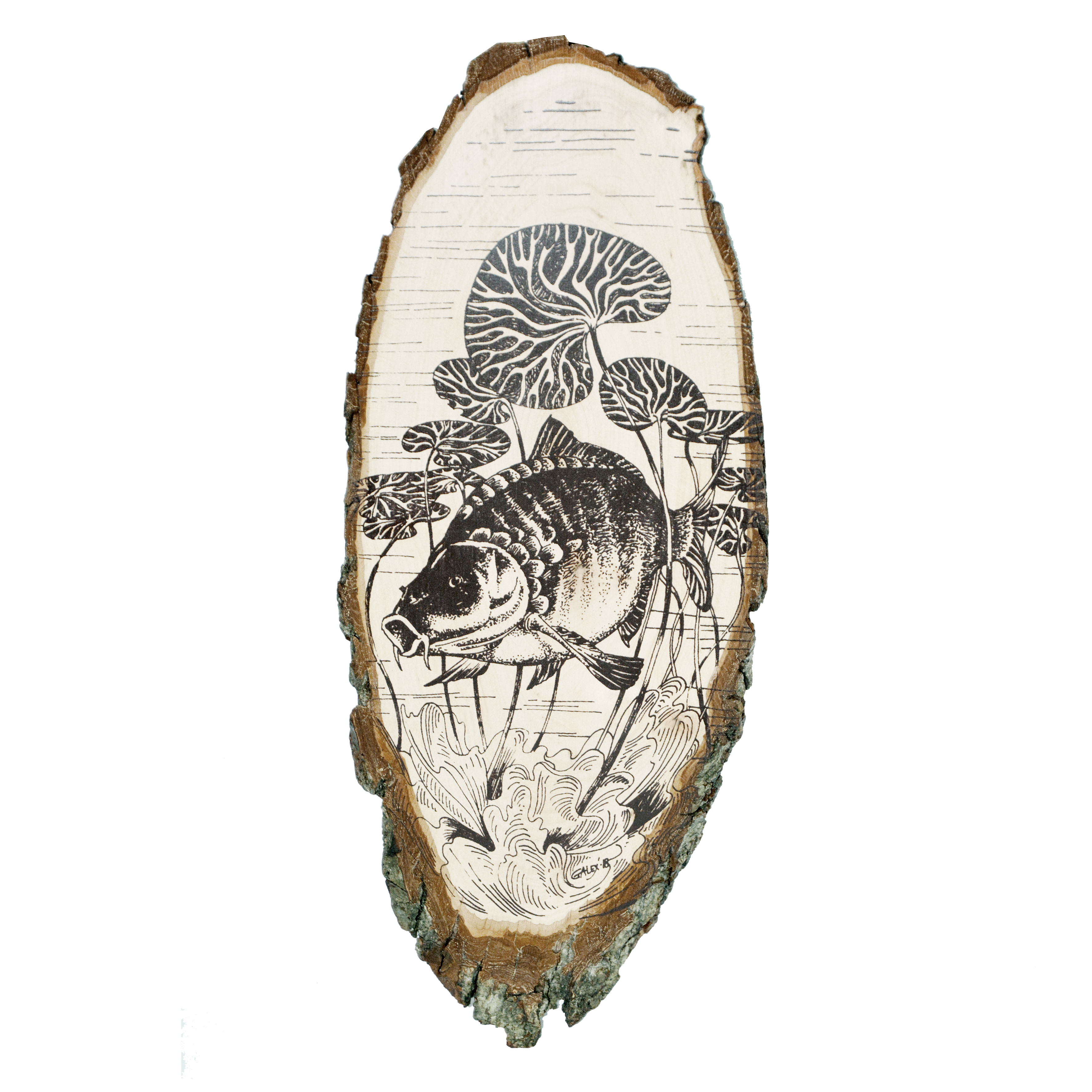 DR-2sh Decorative board Carp (silkscreen printing)
