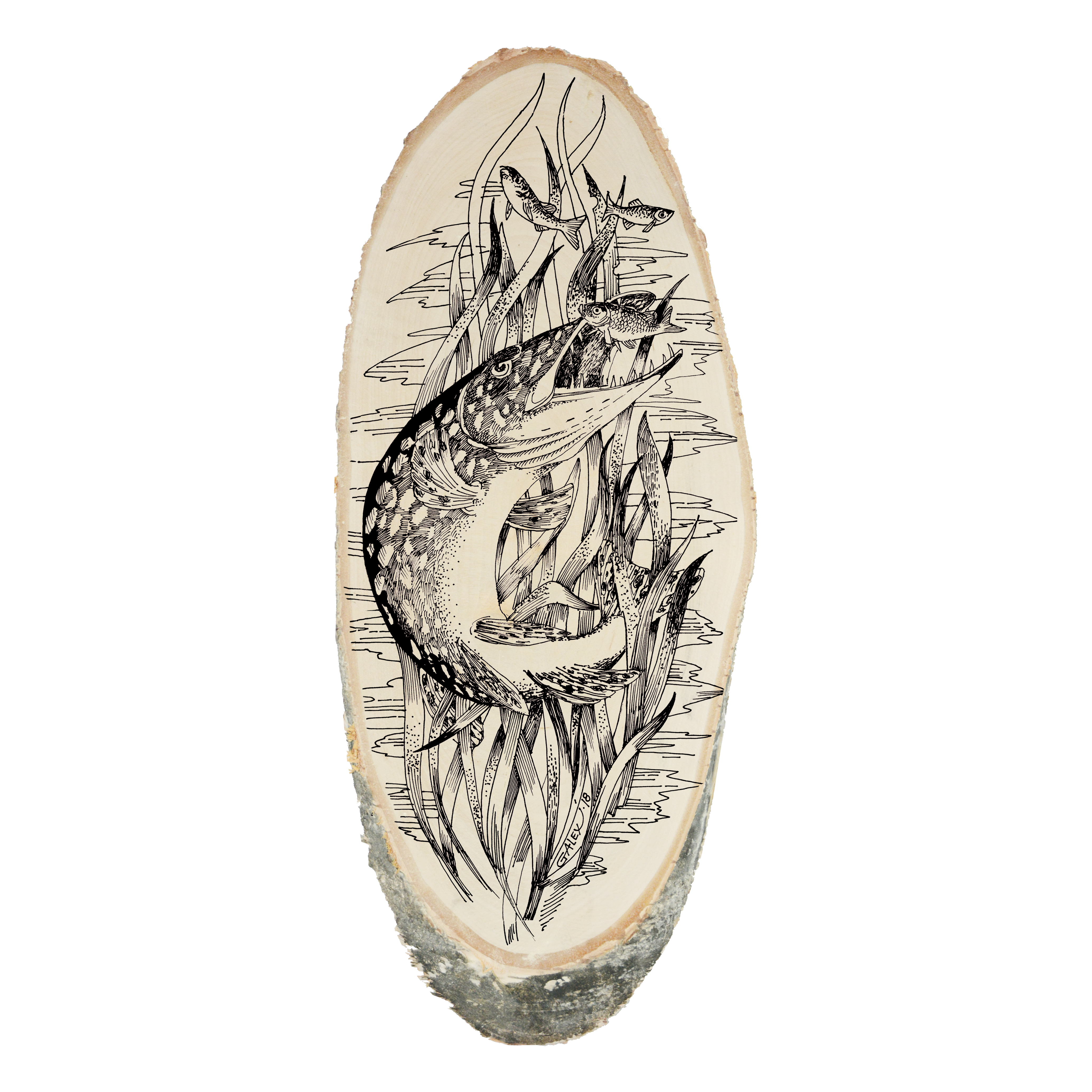DR-5sh Decorative board Pike (silkscreen printing)