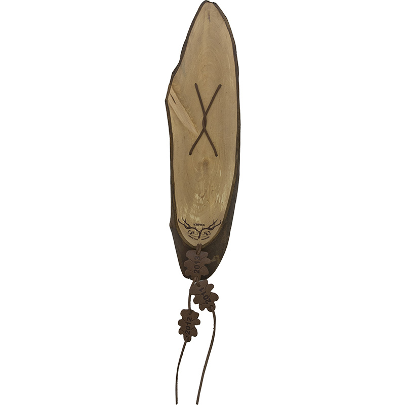DT-14k Trophy Board 19×27 cm