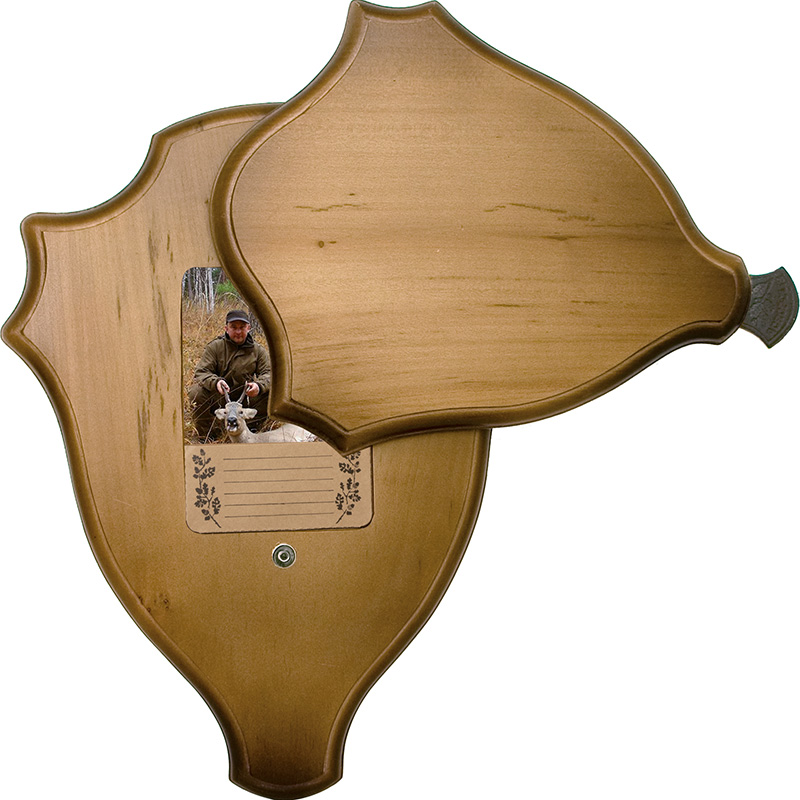 DT-21 Trophy Board 36×28 cm
