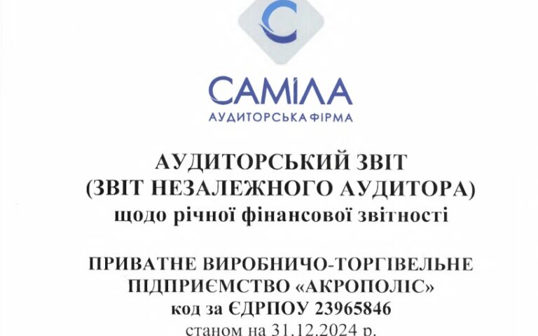 Audit report for 2024