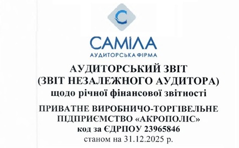 Аудиторський звіт за 2025 рік